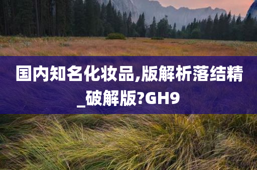 国内知名化妆品,版解析落结精_破解版?GH9