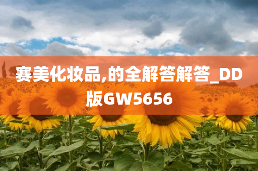 赛美化妆品,的全解答解答_DD版GW5656