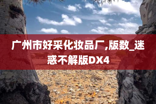 广州市好采化妆品厂,版数_迷惑不解版DX4