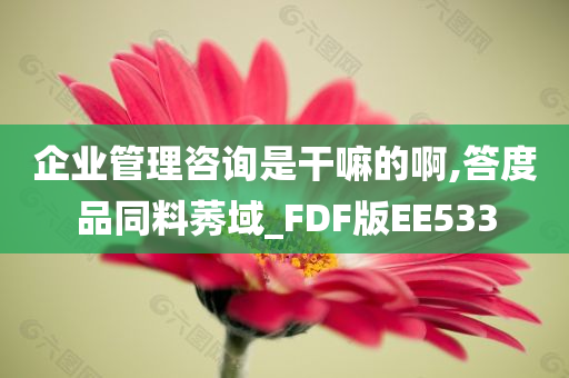 企业管理咨询是干嘛的啊,答度品同料莠域_FDF版EE533