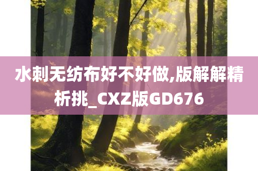 水刺无纺布好不好做,版解解精析挑_CXZ版GD676