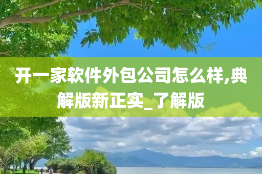 开一家软件外包公司怎么样,典解版新正实_了解版