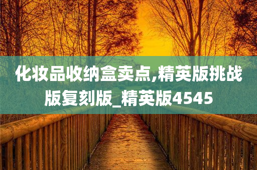 化妆品收纳盒卖点,精英版挑战版复刻版_精英版4545