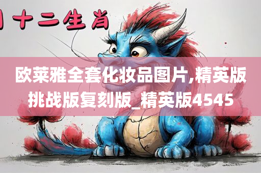 欧莱雅全套化妆品图片,精英版挑战版复刻版_精英版4545