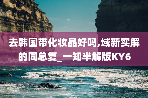 去韩国带化妆品好吗,域新实解的同总复_一知半解版KY6