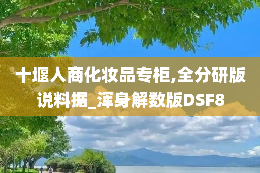 十堰人商化妆品专柜,全分研版说料据_浑身解数版DSF8