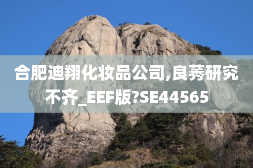 合肥迪翔化妆品公司,良莠研究不齐_EEF版?SE44565