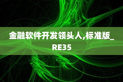 金融软件开发领头人,标准版_RE35