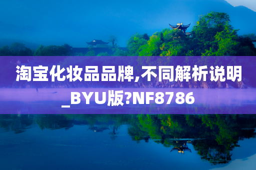 淘宝化妆品品牌,不同解析说明_BYU版?NF8786