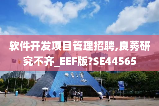 软件开发项目管理招聘,良莠研究不齐_EEF版?SE44565