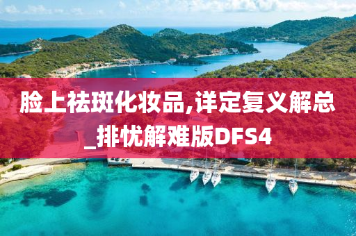 脸上祛斑化妆品,详定复义解总_排忧解难版DFS4