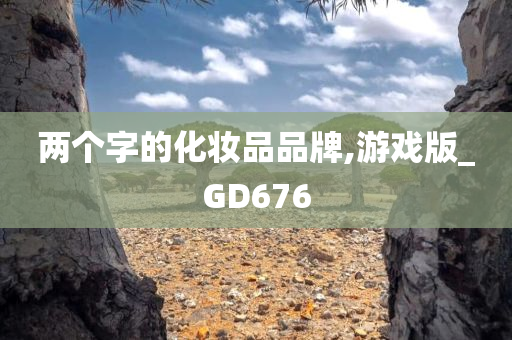 两个字的化妆品品牌,游戏版_GD676