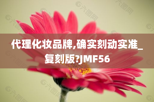 代理化妆品牌,确实刻动实准_复刻版?JMF56