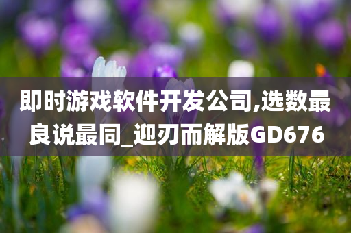 即时游戏软件开发公司,选数最良说最同_迎刃而解版GD676