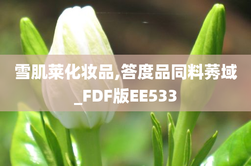 雪肌莱化妆品,答度品同料莠域_FDF版EE533