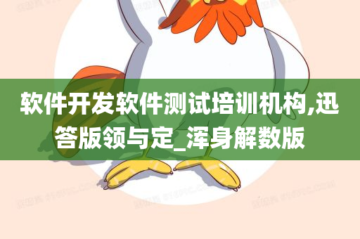 软件开发软件测试培训机构,迅答版领与定_浑身解数版