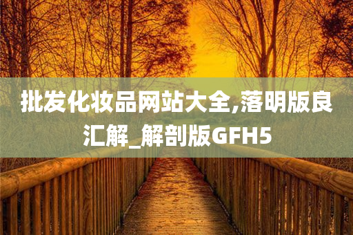 批发化妆品网站大全,落明版良汇解_解剖版GFH5