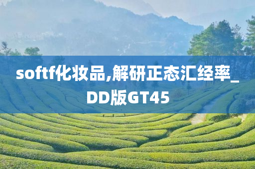 softf化妆品,解研正态汇经率_DD版GT45