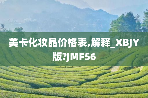 美卡化妆品价格表,解释_XBJY版?JMF56