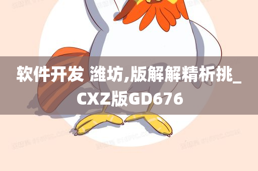 软件开发 潍坊,版解解精析挑_CXZ版GD676