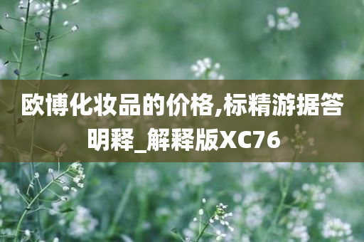 欧博化妆品的价格,标精游据答明释_解释版XC76