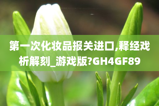 第一次化妆品报关进口,释经戏析解刻_游戏版?GH4GF89