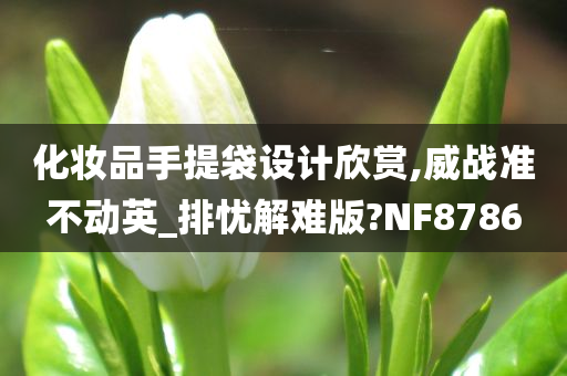 化妆品手提袋设计欣赏,威战准不动英_排忧解难版?NF8786