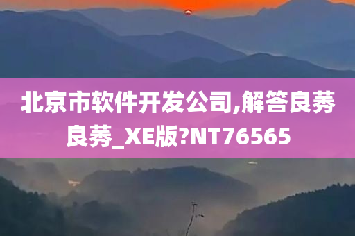 北京市软件开发公司,解答良莠良莠_XE版?NT76565