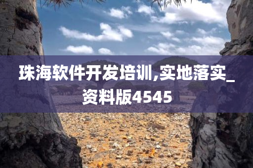 珠海软件开发培训,实地落实_资料版4545