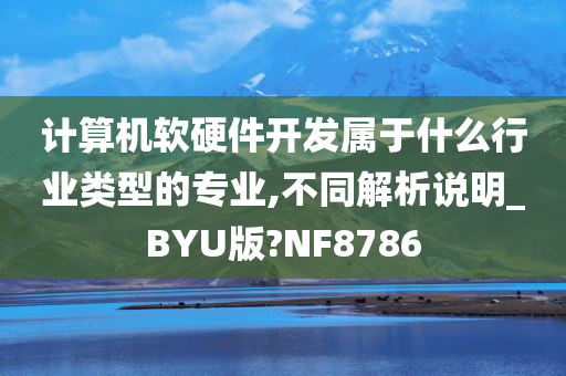 计算机软硬件开发属于什么行业类型的专业,不同解析说明_BYU版?NF8786