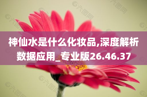 神仙水是什么化妆品,深度解析数据应用_专业版26.46.37