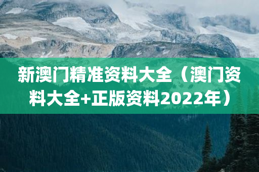 新澳门精准资料大全（澳门资料大全+正版资料2022年）