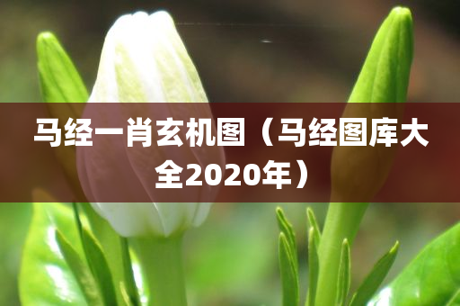 马经一肖玄机图（马经图库大全2020年）