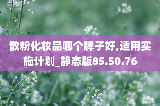 散粉化妆品哪个牌子好,适用实施计划_静态版85.50.76