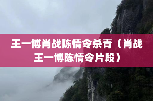 王一博肖战陈情令杀青（肖战王一博陈情令片段）