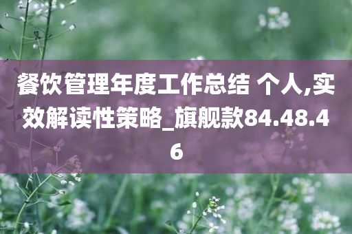 餐饮管理年度工作总结 个人,实效解读性策略_旗舰款84.48.46