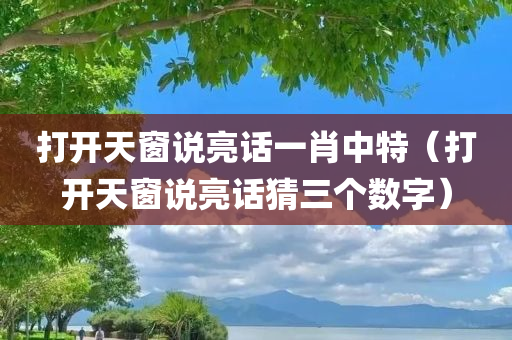 打开天窗说亮话一肖中特（打开天窗说亮话猜三个数字）