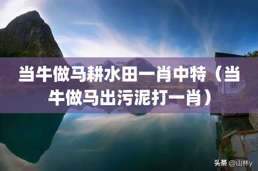 当牛做马耕水田一肖中特（当牛做马出污泥打一肖）