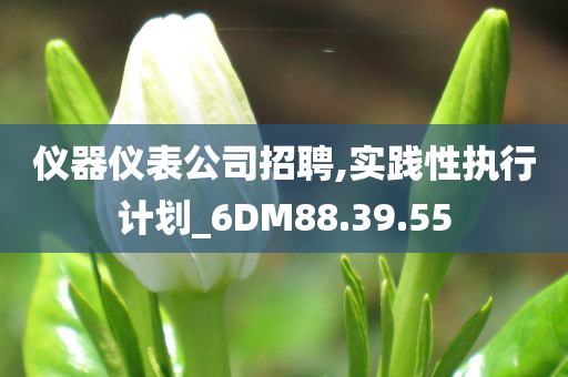 仪器仪表公司招聘,实践性执行计划_6DM88.39.55