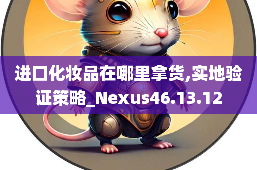 进口化妆品在哪里拿货,实地验证策略_Nexus46.13.12