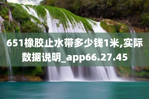 651橡胶止水带多少钱1米,实际数据说明_app66.27.45