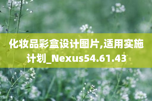 化妆品彩盒设计图片,适用实施计划_Nexus54.61.43