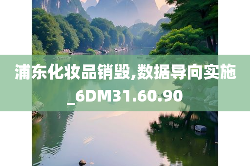 浦东化妆品销毁,数据导向实施_6DM31.60.90