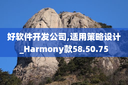 好软件开发公司,适用策略设计_Harmony款58.50.75