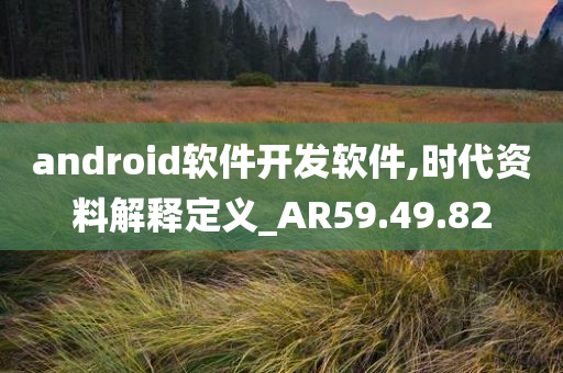 android软件开发软件,时代资料解释定义_AR59.49.82