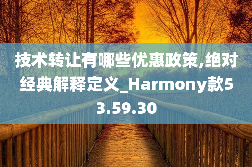 技术转让有哪些优惠政策,绝对经典解释定义_Harmony款53.59.30