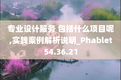 专业设计服务 包括什么项目呢,实践案例解析说明_Phablet54.36.21