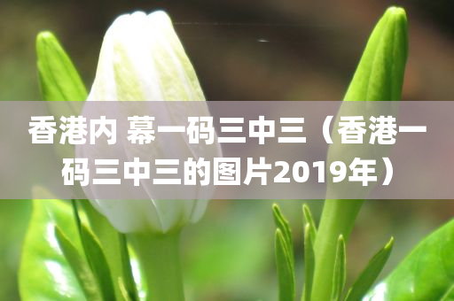 香港内 幕一码三中三（香港一码三中三的图片2019年）