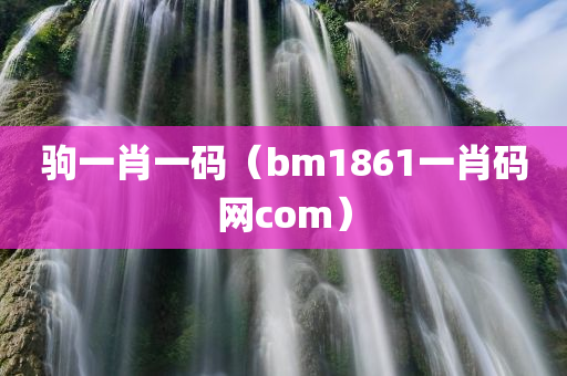 驹一肖一码（bm1861一肖码网com）