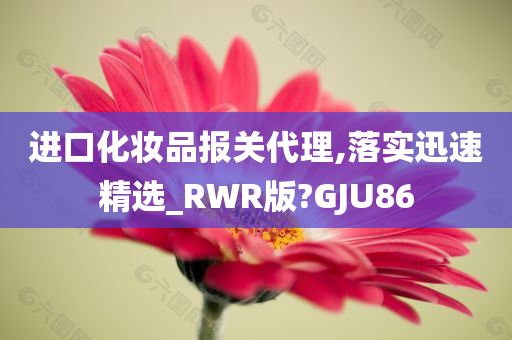 进口化妆品报关代理,落实迅速精选_RWR版?GJU86